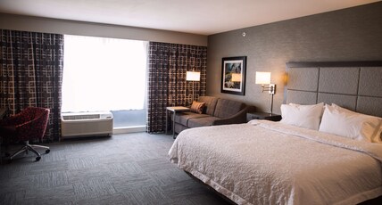 Hampton Inn by Hilton Pontiac Room Type - 1 KING SFBD FRG NS