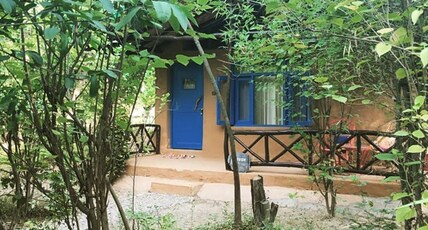 Camp Hornbill Room Type - Finch (Unique Mud Cottage) - Forest View