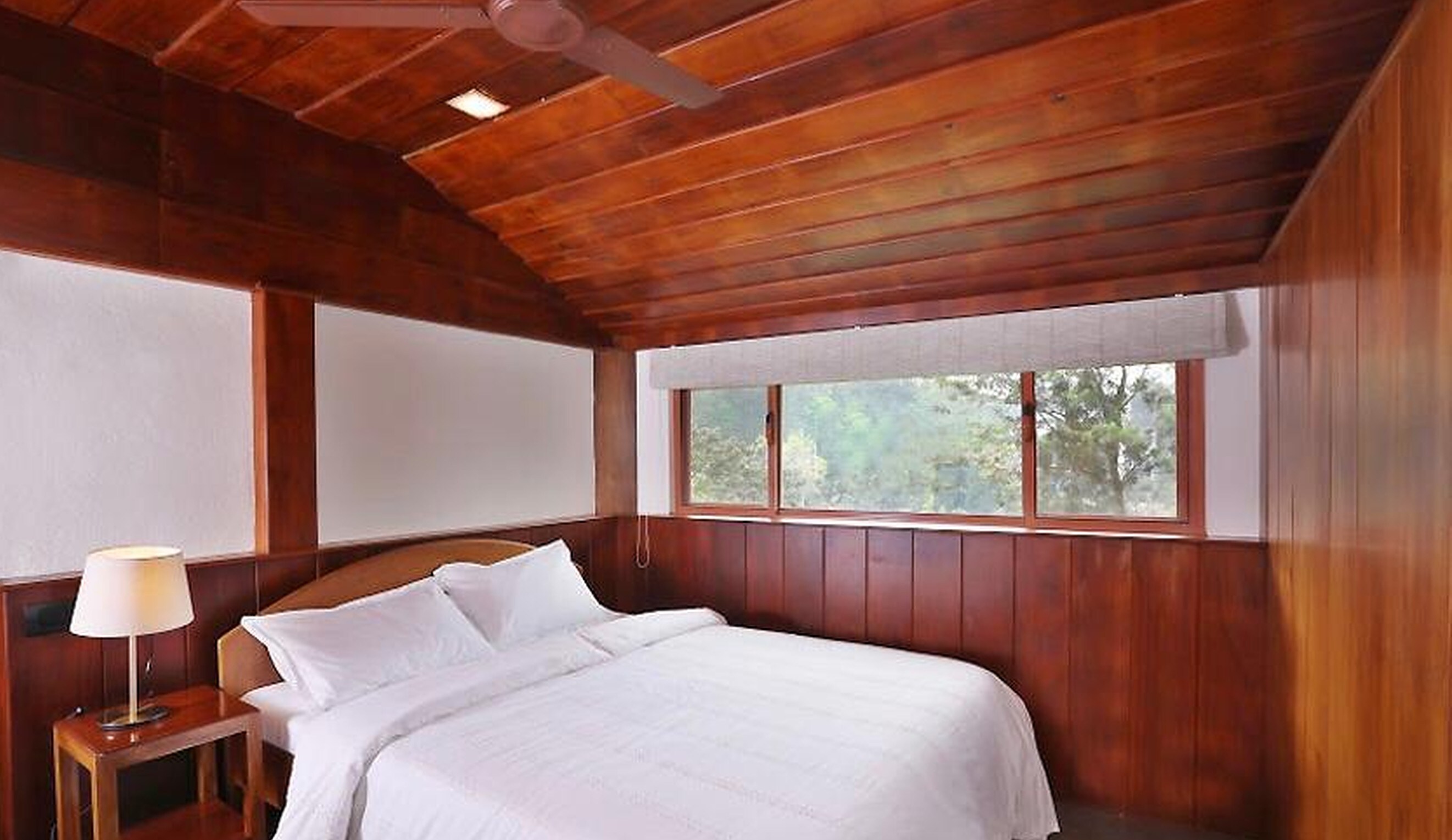 Jade Munnar - Tap to explore photos