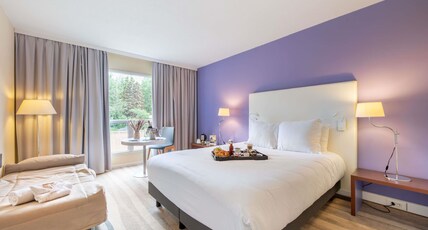 Mercure Antibes Sophia Antipolis Room Type - Standard Room with a double bed
