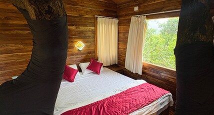 Wild Wood Tree House Room Type - Bedroom 2