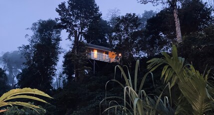 COFFEE GARDEN RESORT Room Type - Suit Wooden Cottage with Balcony( Plantation View)
