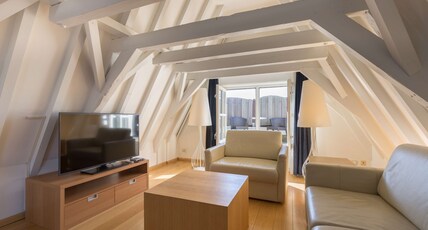 Radisson Blu Hotel, Amsterdam Room Type - Mezzanine Suite With Terrace