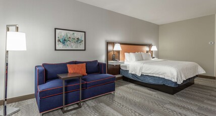 Hampton Inn Capital Mall Room Type - 1 KING BED W  SOFA NS