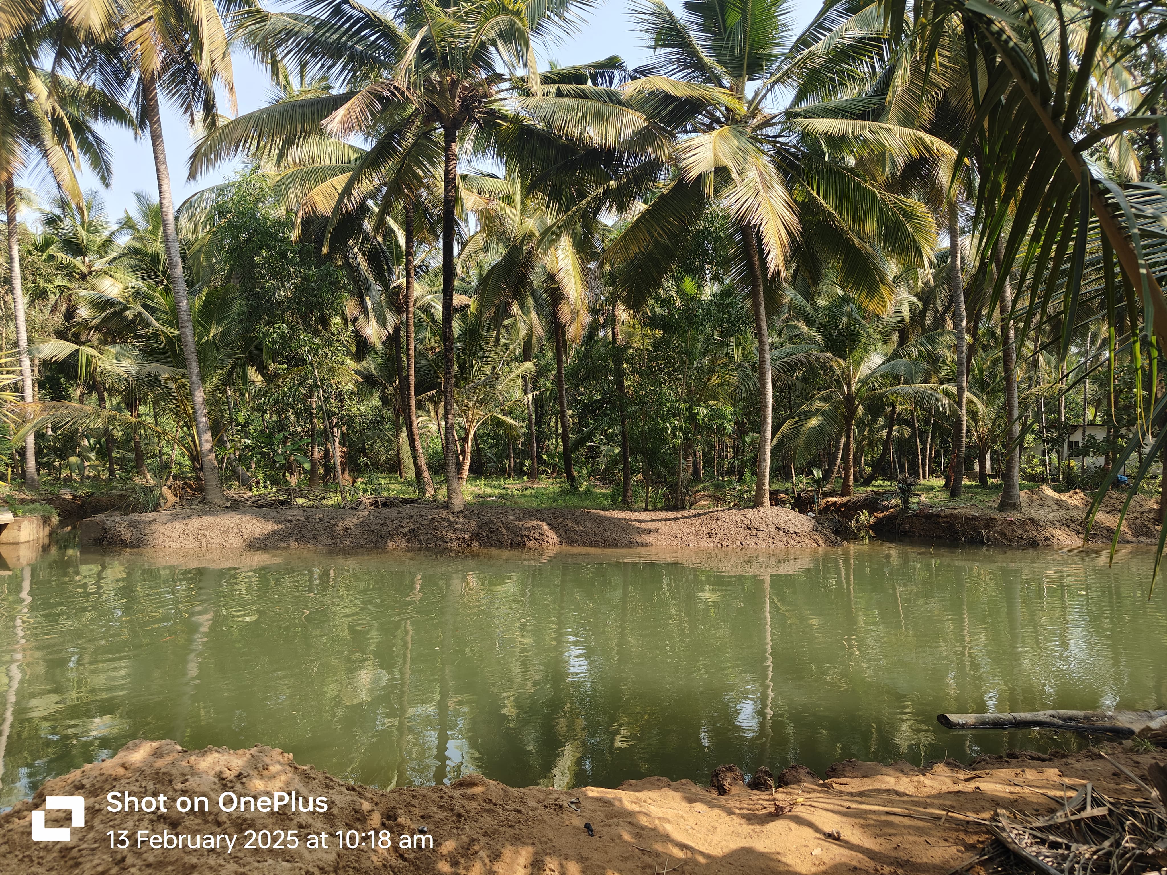 Veeru River front nature homestay Honnavar - Tap to explore photos