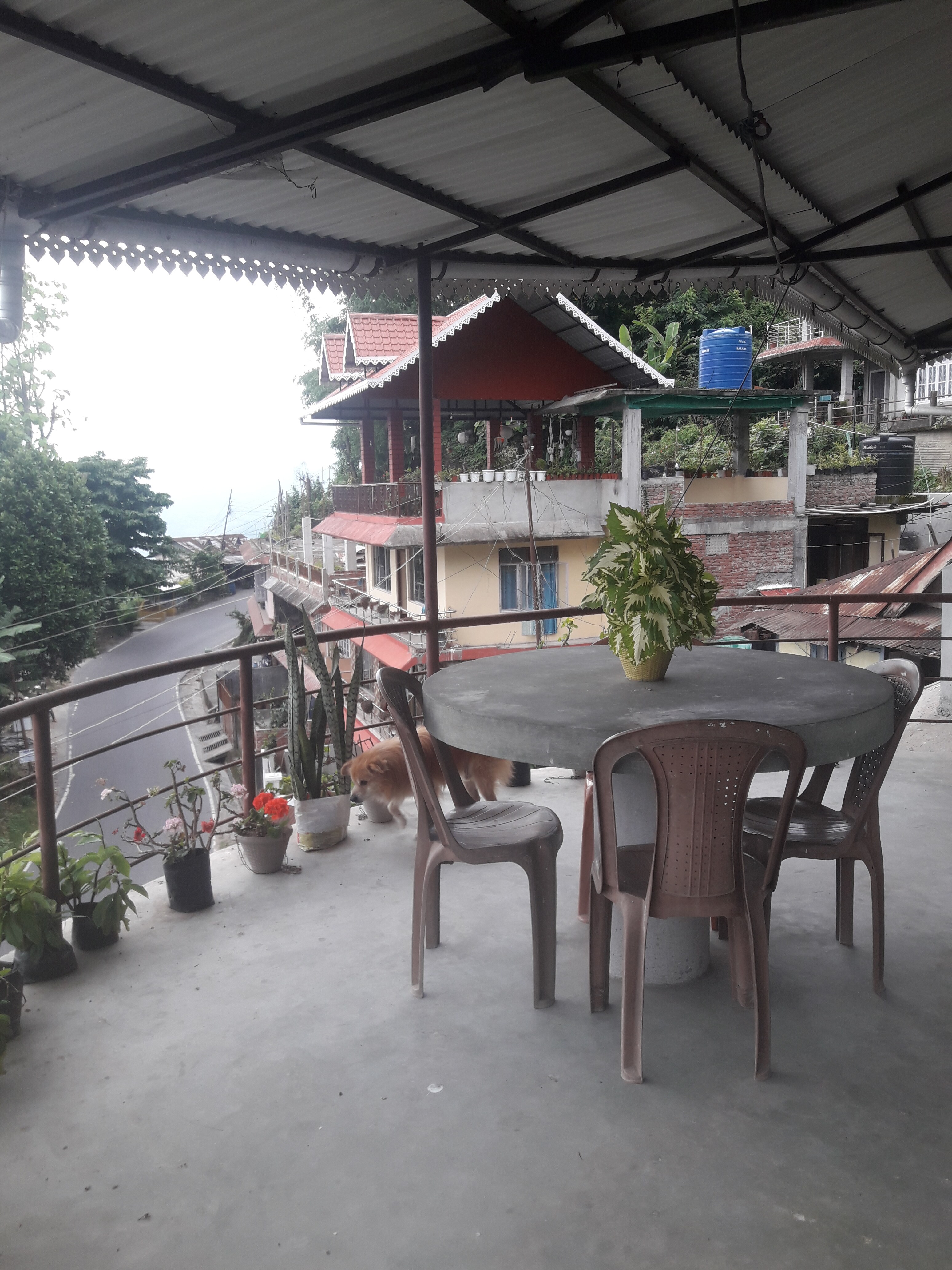 Miltonia Homestay - Tap to explore photos