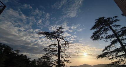 MnM Stays, Shimla Room Type - MnM Stays, Shimla