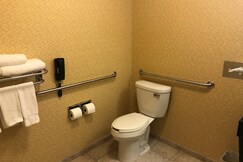 Holiday Inn Express & Suites LANSING-DIMONDALE
