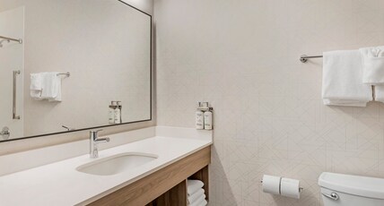 Holiday Inn Express & Suites ASTORIA Room Type - STANDARD ROOM