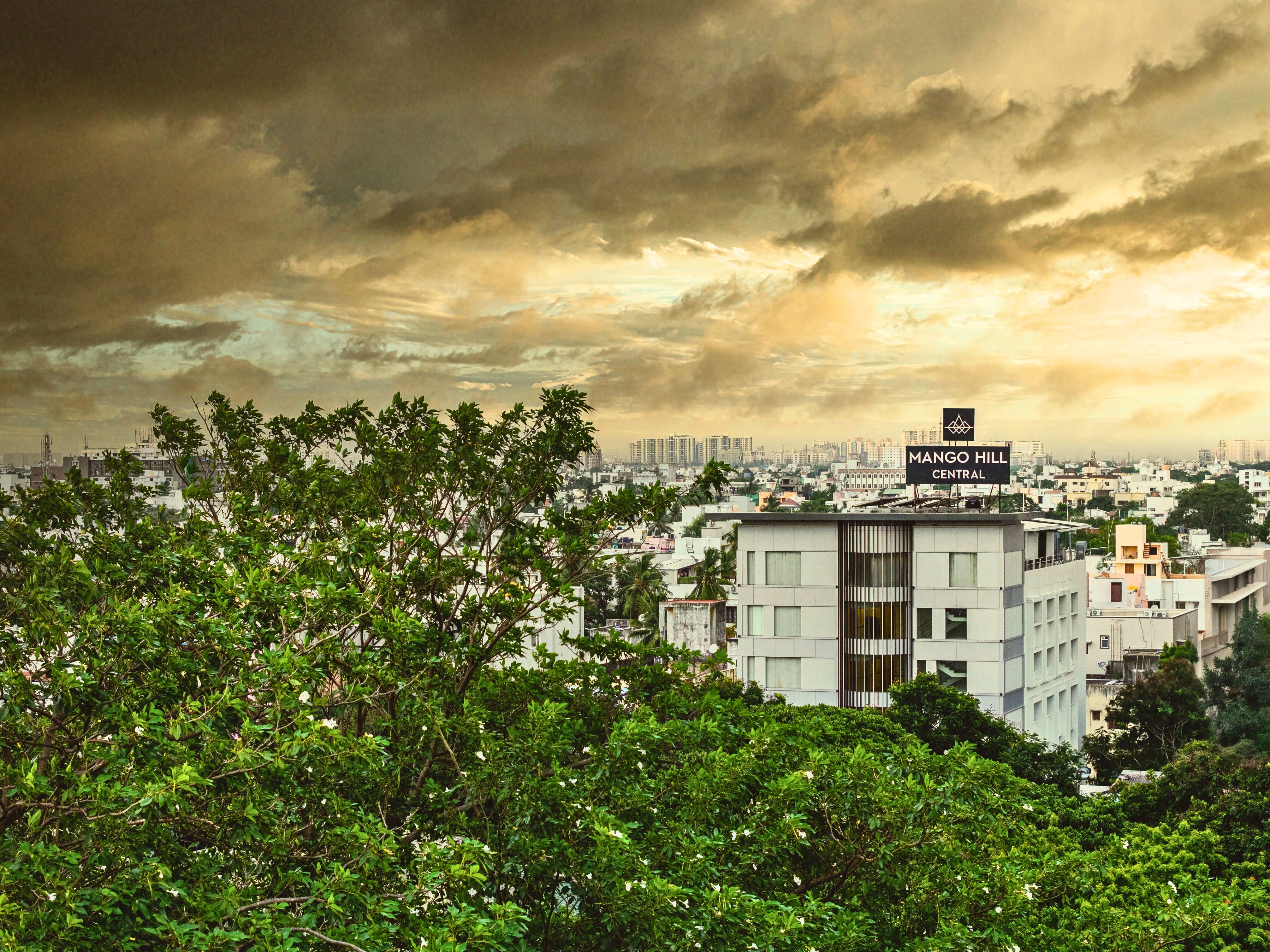 Mango Hill Central Chennai - Tap to explore photos