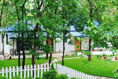 Whispering Woods , Vangani