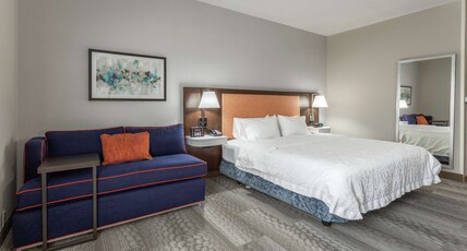 Hampton Inn Capital Mall Room Type - 1 KNG ACC ROLLIN SHWR NS