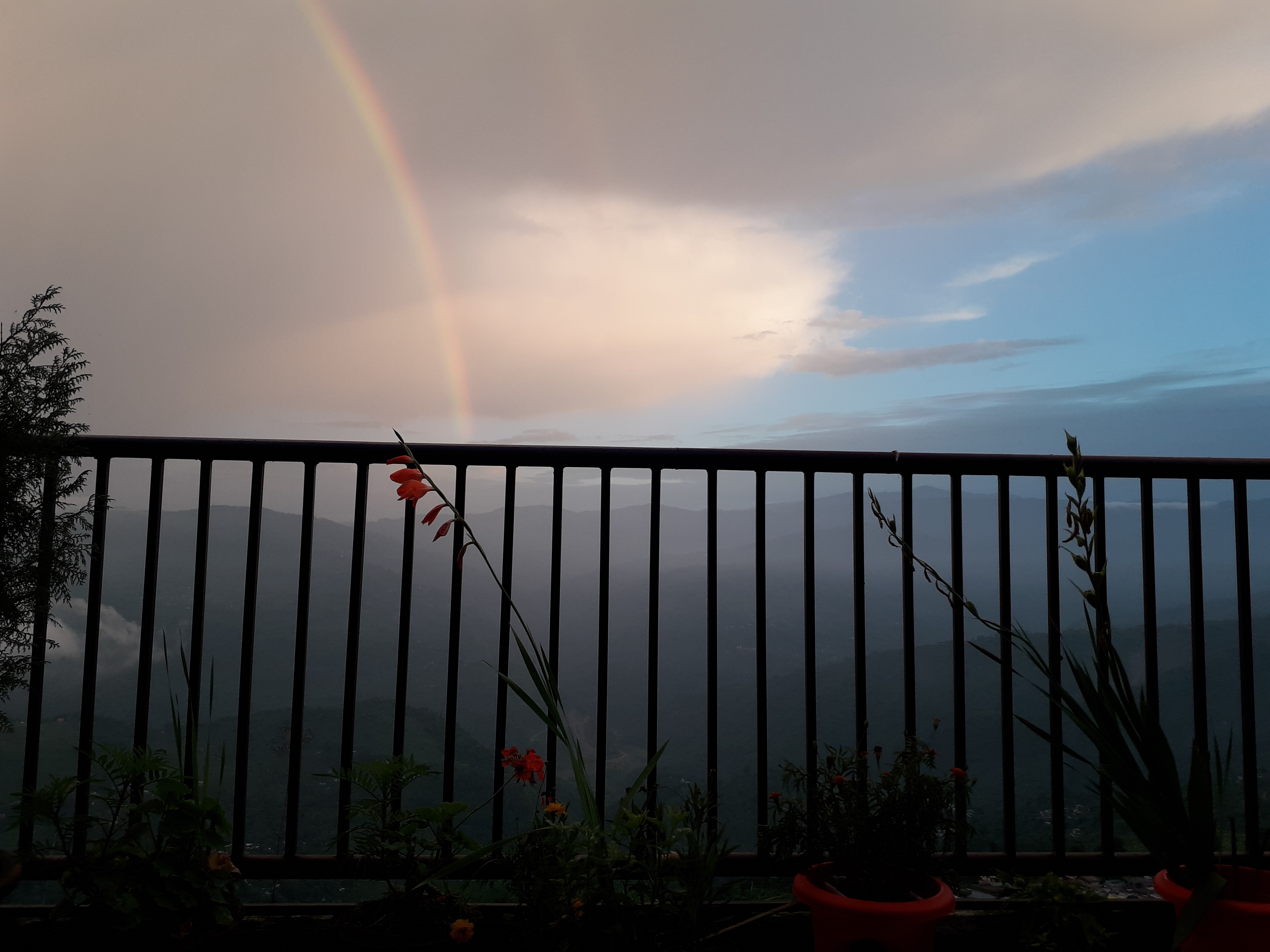 The River View Homestay - Tap to explore photos