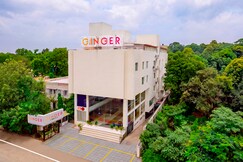 Ginger Bhavnagar