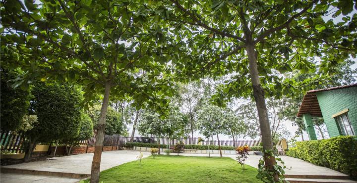 SAI NATURE RESORTS, URLI KANCAHN, PUNE - Tap to explore photos