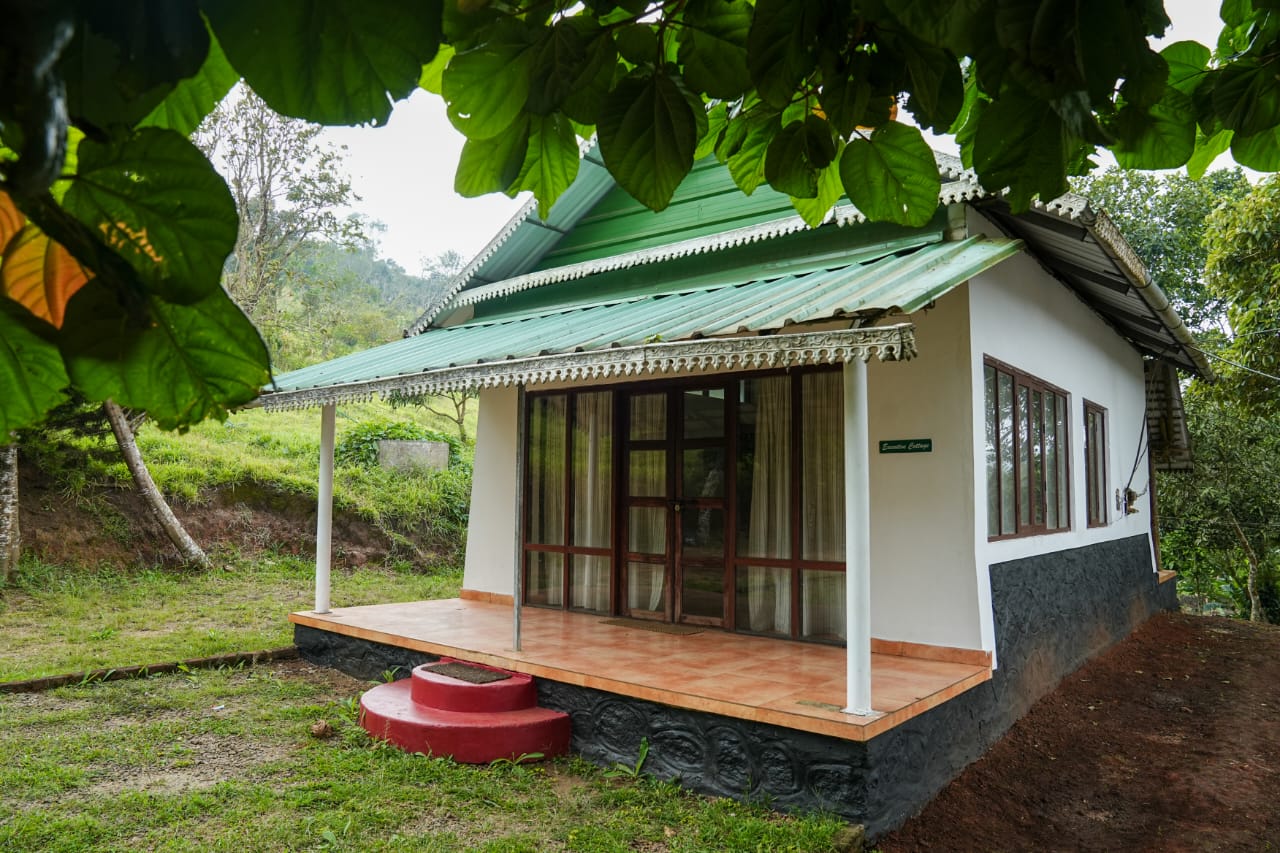 Punarjani Ayurvedic Resorts - Tap to explore photos