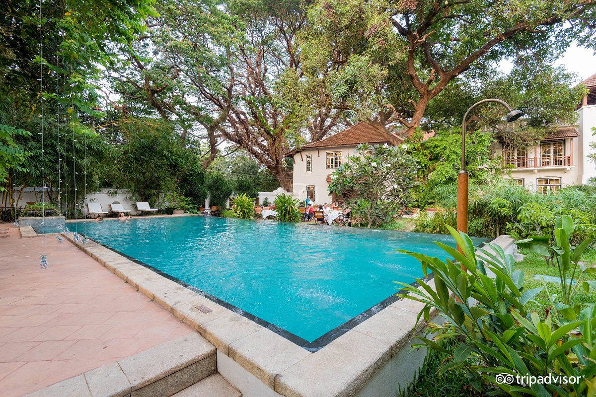 Old Harbour Hotel - Tap to explore photos