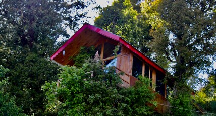 Pine wood 2nd Tree House Room Type - Pine wood 2nd Tree House