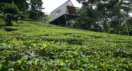 Vythiri Stream View | Cottages in Tea Valleys Room Type - A Frame Couple Cottage AC