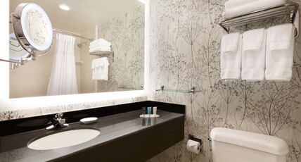 Crowne Plaza Crystal City-Washington, D.C. Room Type - 1 King Bed Standard Comm Accessible