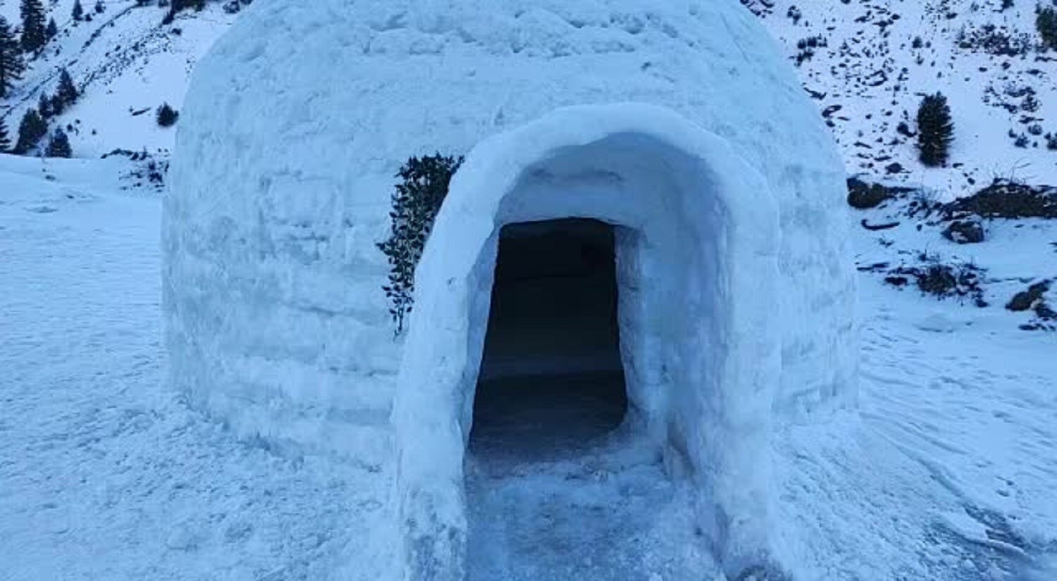 Himalayan Igloo Stay - Tap to explore photos