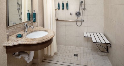 HILTON CHICAGO NORTHBROOK Room Type - 1KNG MOB HEARNG ACC RI-SHW
