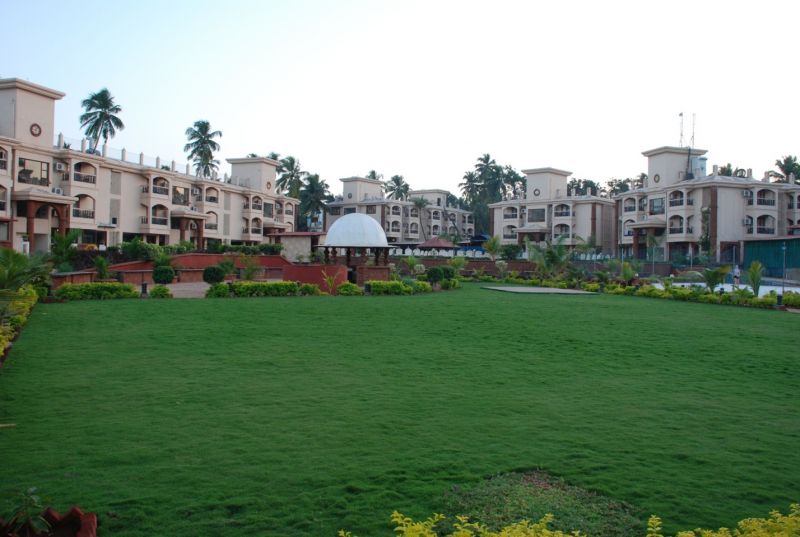 OCEAN WAVES SUN BAGA - Tap to explore photos