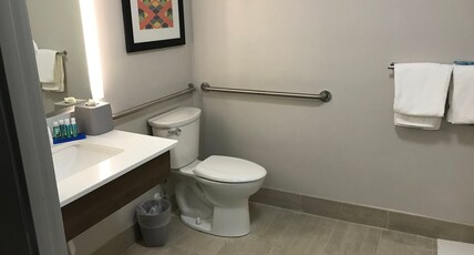 Holiday Inn Express NAPLES SOUTH - I-75 Room Type - 1 King Standard Mobil Access Roll Shwr
