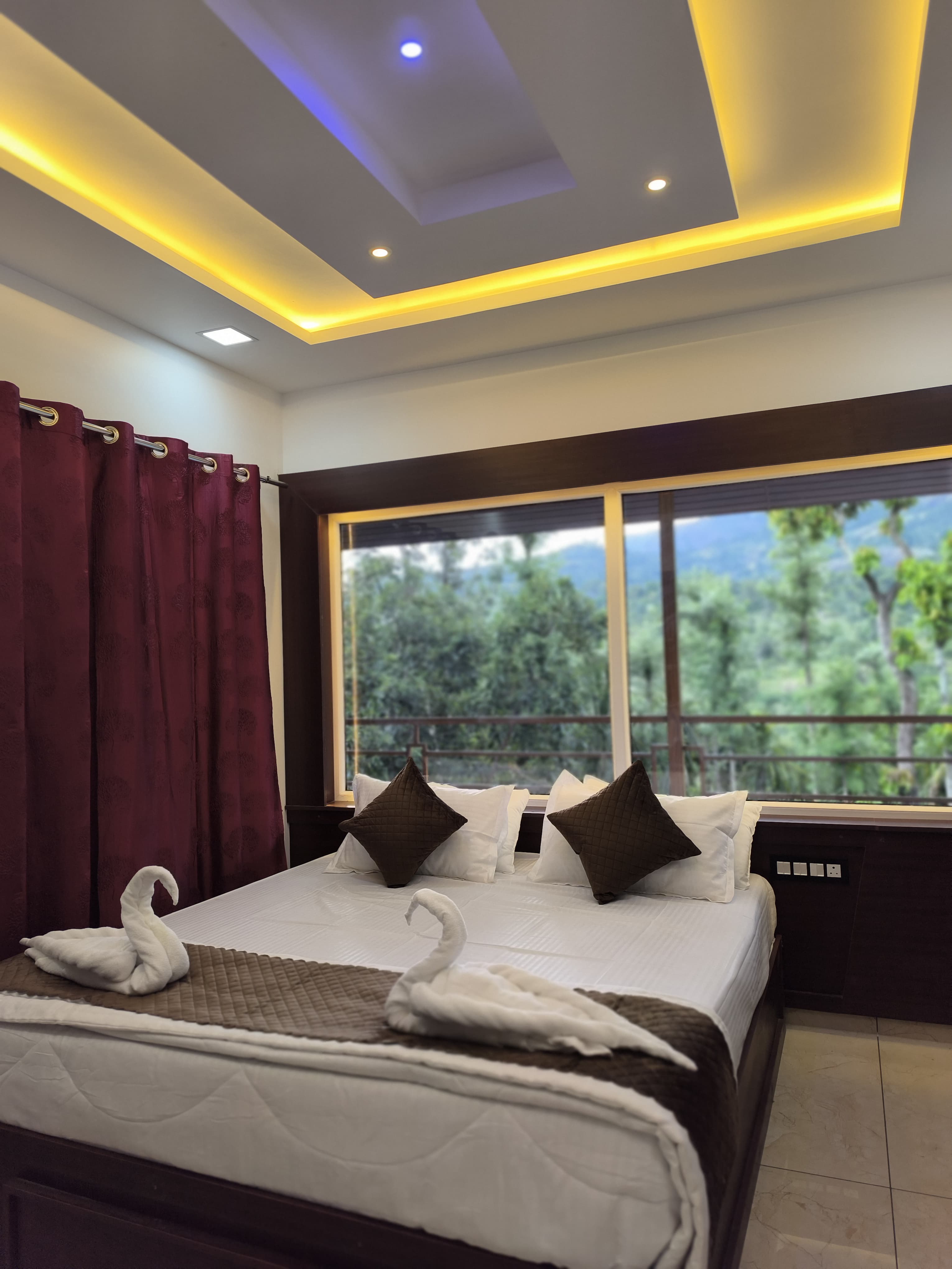 WILD CASA - Tap to explore photos