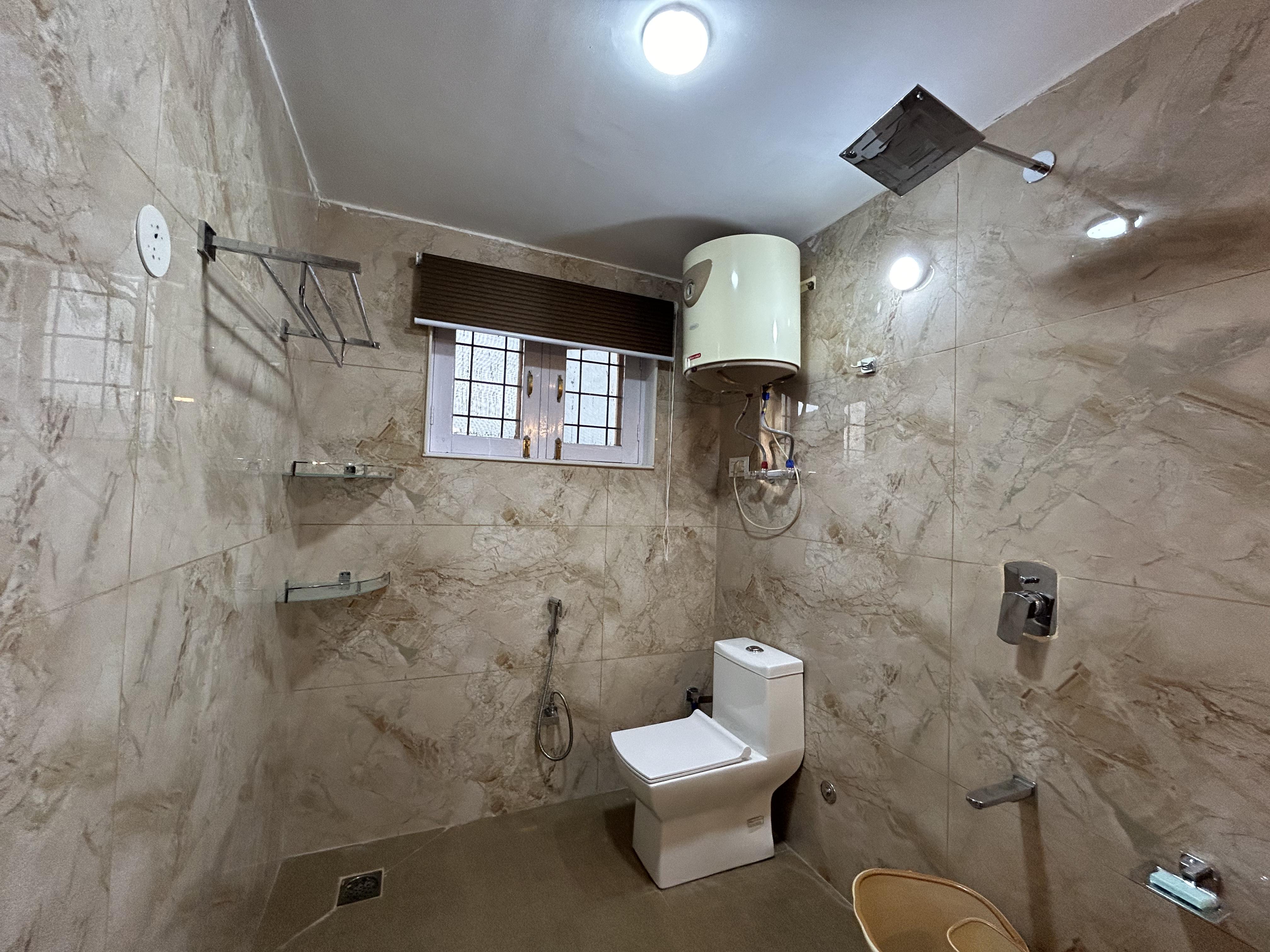 Ginkgo Leaf - Tap to explore photos