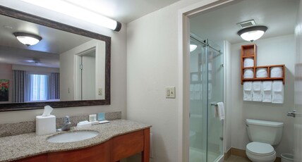 Hampton Inn & Suites Williamsburg-Richmond Road Room Type - 2 QN SUITE SHOWER ONLY NS
