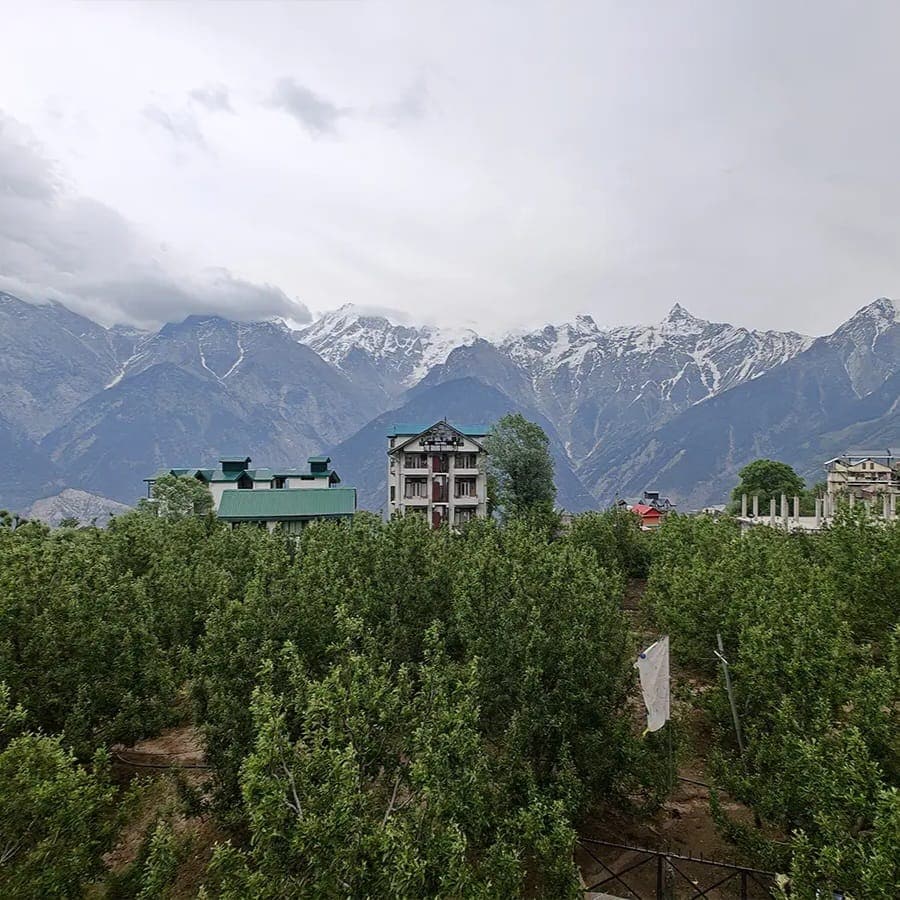 Hotel Kalpa Retreat - Tap to explore photos