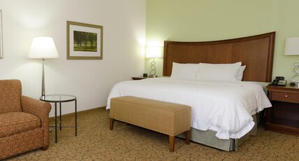 Hampton Inn by Hilton Hickory Room Type - 1KING STUDY SOFABED NOSMOK