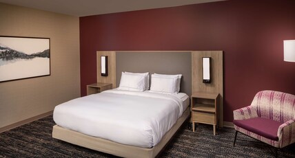 Hilton Asheville Biltmore Park Room Type - 1 KING ACC WITH BATHTUB