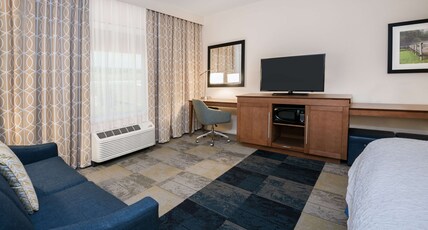 Hampton Inn & Suites San Antonio Brooks City Base, TX Room Type - 1 KING BED W SOFABED NS