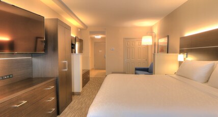 Holiday Inn Express & Suites MOBILE/SARALAND Room Type - 1 King Bed Suite
