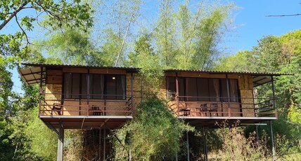 Deep Jungle Home Room Type - Tree House Bandipur