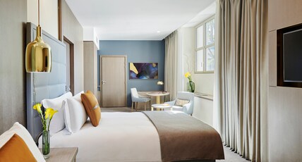 Intercontinental Lyon Hotel Dieu Room Type - Classic Room