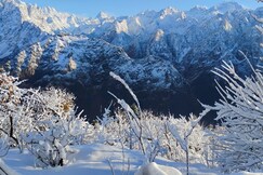 Namaste Auli Homestay