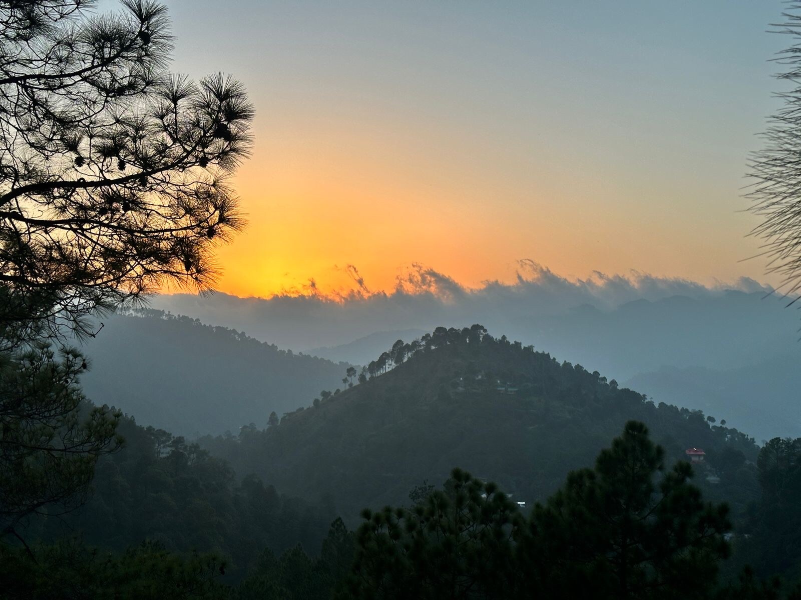 Namami Chail Resort - Tap to explore photos