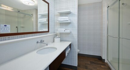 Hampton Inn West Bloomfield/ Southfield Room Type - 1K W SHWR SFBD MIC FRG NS