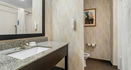 Hampton Inn Marion Room Type - 1 KING SFBD FRIDGE NS