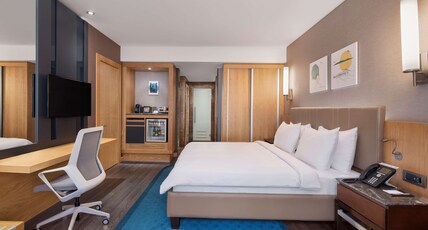Radisson Blu Hotel & Spa, Istanbul Tuzla Room Type - Sauna Suite - Terrace