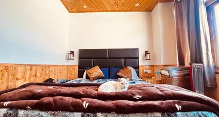 House of Paws Room Type - Family Suite