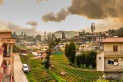 The Essar Cottage | Rooms in a Homestay