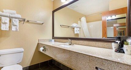 Best Western Locust Grove Inn & Suites Room Type - Suite-1 King Bed, Non-Smoking, Sofabed, Microwave And Refrigerator, High Speed Internet Access, Full