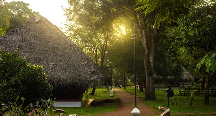 Marari Beach Resort Alleppey - A CGH Earth Experience Room Type - Garden Villa