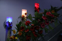 Sai Guest House