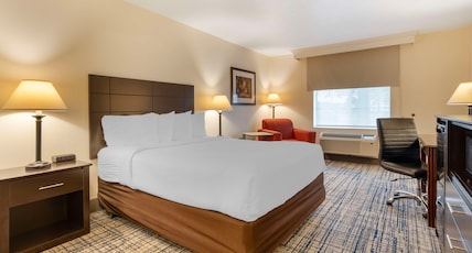 Best Western Visalia Hotel Room Type - 1 King Bed, Non-Smoking, Microwave And Refrigerator, Wi-Fi, Full Breakfast