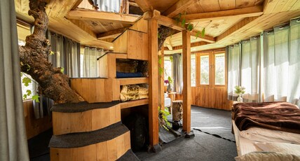 Hidden Burrow By Whoopers Hospitality Room Type - Double Decker Tree House